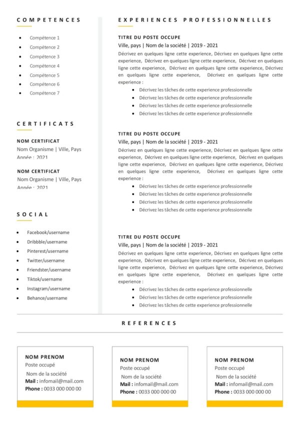 modèle de CV pour cadre expérimenté - Page 2